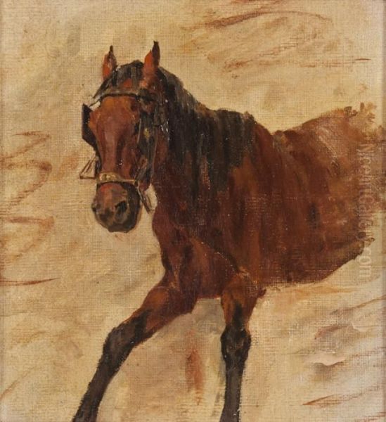 Cavallo Oil Painting by Alceste Campriani