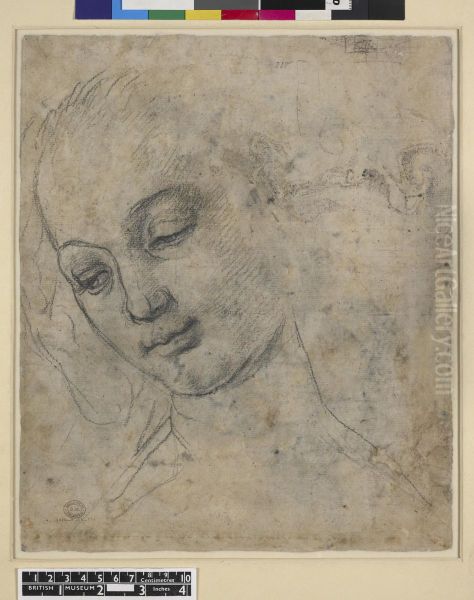 Head of a Young Woman in Three-Quarter View (verso) Oil Painting by Andrea Del Verrocchio