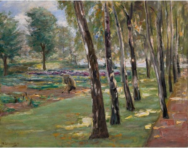 An Avenue Of Birch Trees In The Wannsee Garden, A View Of A Cabbage Field Oil Painting by Max Liebermann