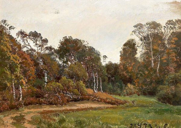 A glade with birch trees in Bollemose near Skodsborg. Oil Painting by Janus la Cour