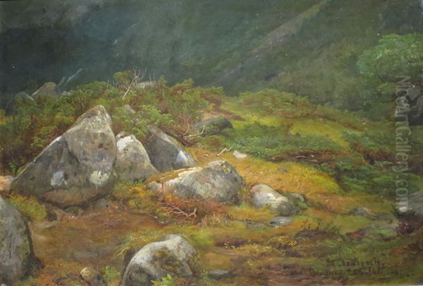 Stein og lyng Oil Painting by Anders Askevold