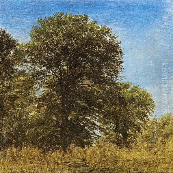 Tall trees under a clear sky on a summer day. Oil Painting by P. C. Skovgaard