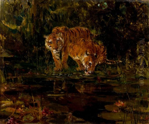 Tigers drinking Oil Painting by John Macallan Swan