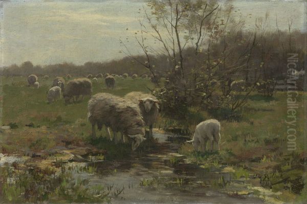 Sheep on the heath at Lunteren Oil Painting by Willem Steelink