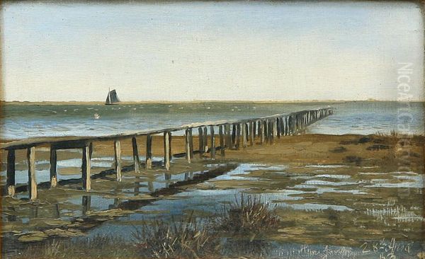 View from a beach. Oil Painting by Hans Agersnap