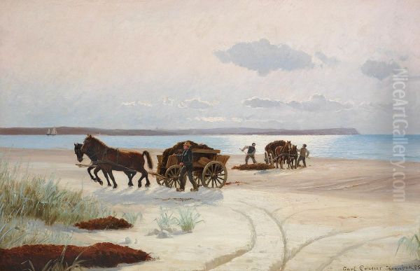 Fishermen loading seaweed on horsecarts. Oil Painting by Carl Locher