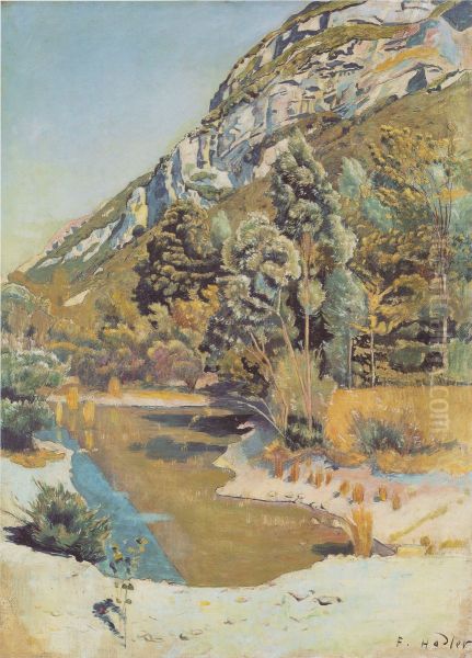 Am Fuss des Petit Saleve Oil Painting by Ferdinand Hodler