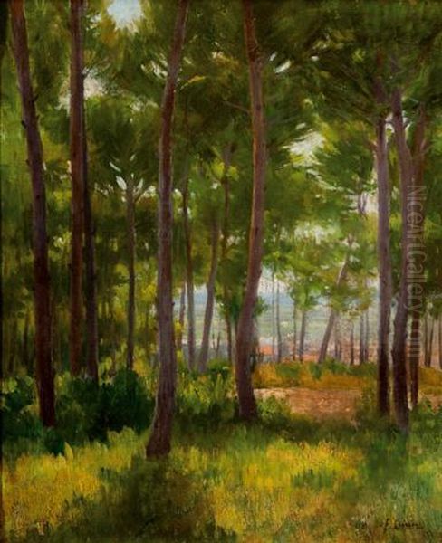 Alrededores De Alcoy Oil Painting by Fernando Cabrera Canto