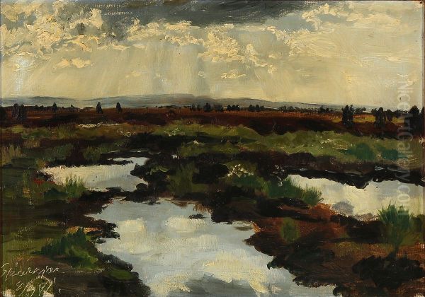 Light breaking through the clouds over a heath landscape Oil Painting by Gotfred Rode