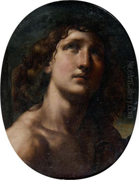 David Oil Painting by Domenico Maria Canuti