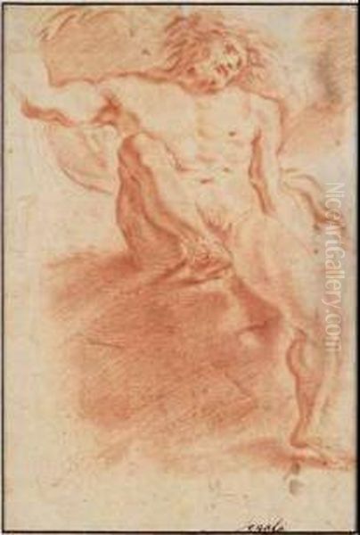 Studio Di Nudo Oil Painting by Domenico Maria Canuti