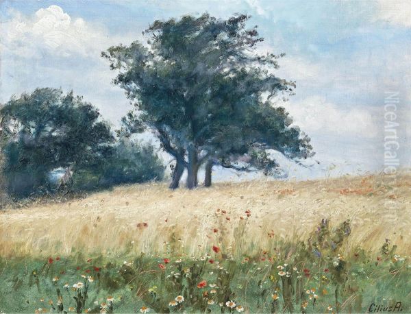 The poppy field. Oil Painting by Cilius Andersen