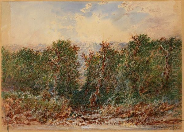 The path through the Cedars Oil Painting by Otto Reinhold Jacobi