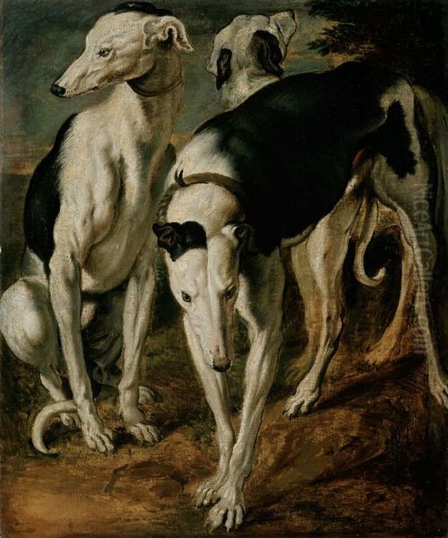 Three greyhounds Oil Painting by Frans Snyders