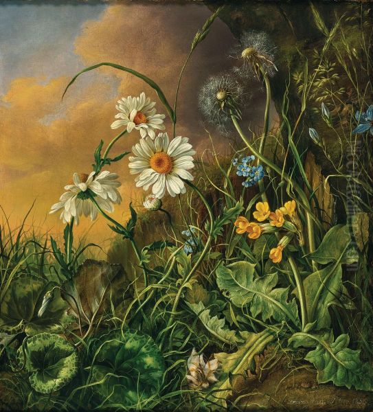 Waldbodenstuck mit Margeriten, Schlusselblumen und Pusteblumen Oil Painting by Franz Xaver Petter