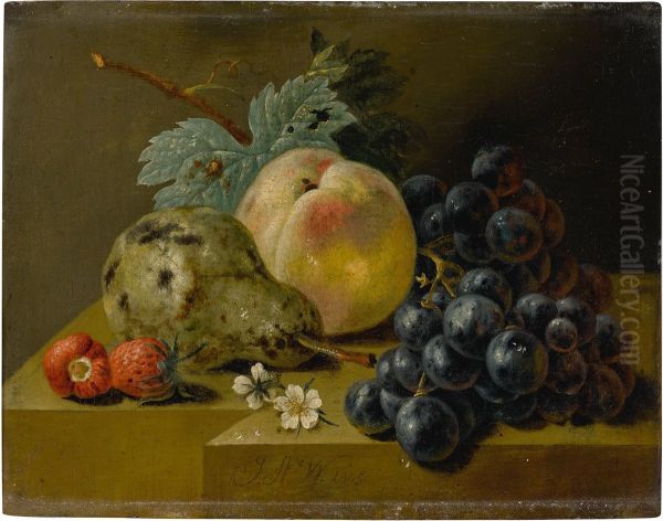 Stillleben mit reifenden Fruchten auf einem Steinsims Oil Painting by Johann Amandus Winck