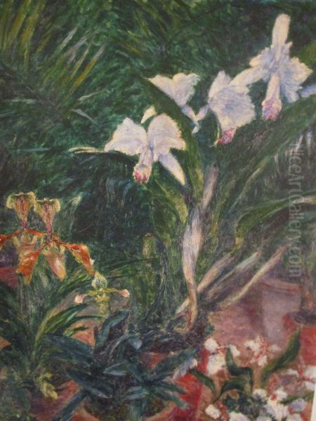 Orchidees dans la serre du Petit Gennevilliers Oil Painting by unknown