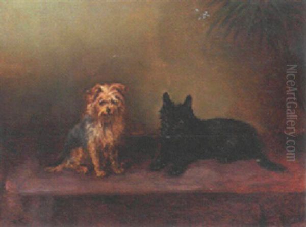 A Cairn Terrier with a Scottie Oil Painting by unknown