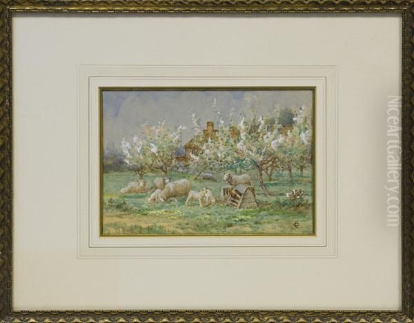 Sheep In Anorchard Oil Painting by Claude Cardon