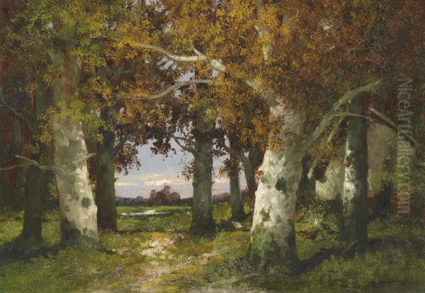 Waldlandschaft Oil Painting by Adolf Kaufmann