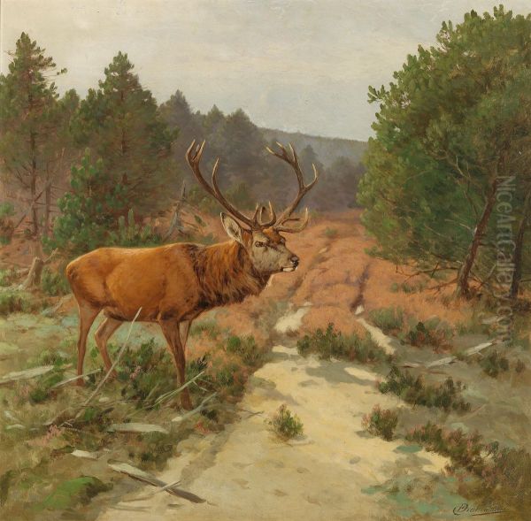 A deer in the forest clearing Oil Painting by Johann Christopher Drathmann