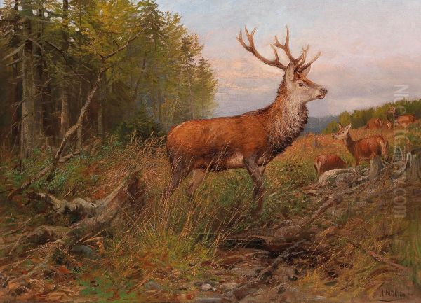 Red Deer On the Lookout Oil Painting by Albert Ernst Muhlig