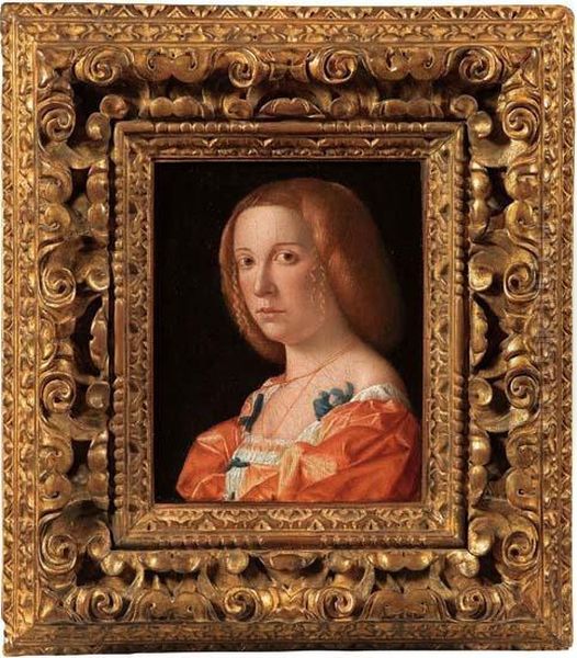 Ritratto Di Giovane Donna Oil Painting by Giovanni De' Busi Cariani