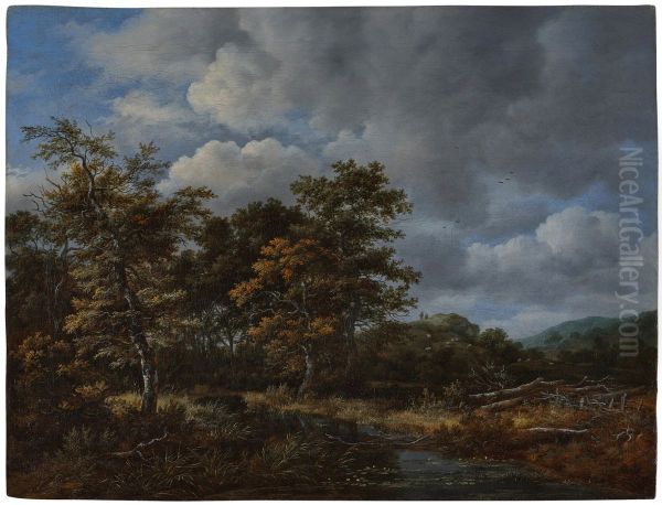 A wooded landscape with a quiet stream and a group of trees at left Oil Painting by Jacob Van Ruisdael