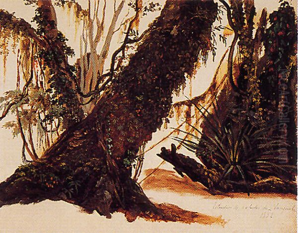 Estudio de arboles de Llanquihue Oil Painting by Carl Alexander Simon