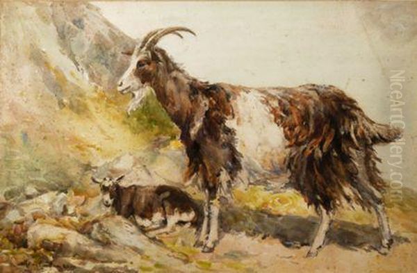 A Goat And A Kid Oil Painting by John Carlaw