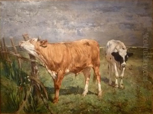 Bull at a fence (Knokke) Oil Painting by Alfred Verwee