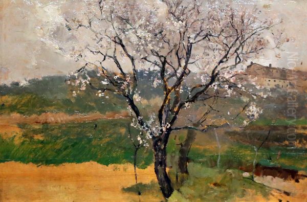 Almonds in Blossoms Oil Painting by Joaquin Sorolla