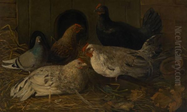 Poules Etpigeon Oil Painting by Jean Antonin Carles