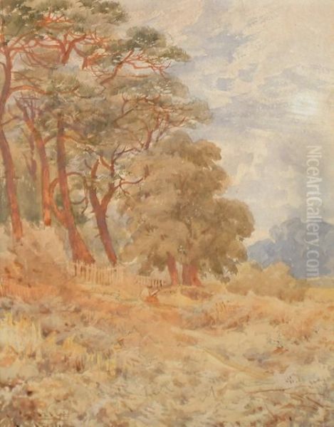 At The Edge Of The Woods Oil Painting by John Carlisle