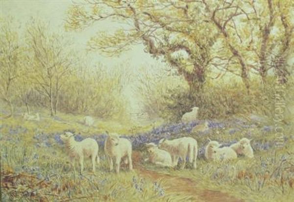 Sheep Grazing In Aflowering Meadow Oil Painting by John Carlisle