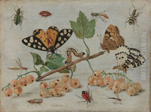 Insecten en vruchten Oil Painting by Jan van Kessel the Elder