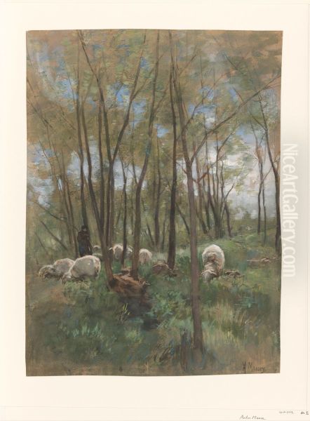 Schapenkudde in een bos Oil Painting by Anton Mauve