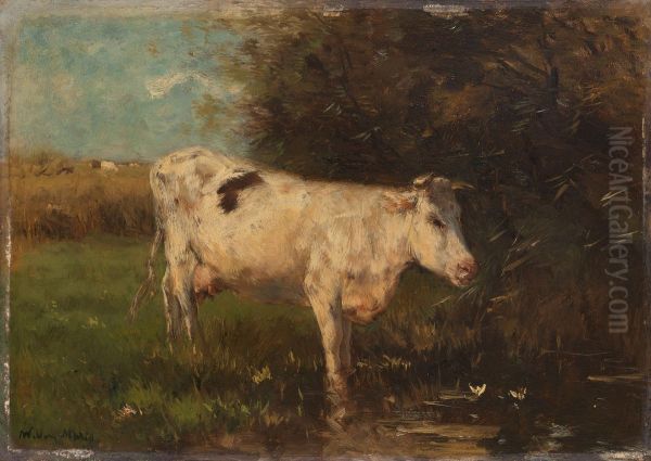 Witte koe Oil Painting by Willem Maris