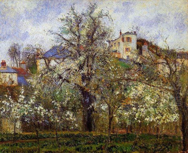 Orchard with Flowering Trees, Spring, Pontoise Oil Painting by Camille Pissarro