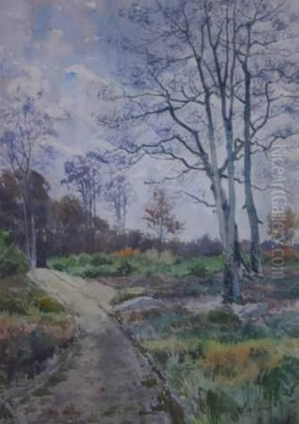 Paysage Aux Bouleaux. Oil Painting by Alexandre Auguste Caron