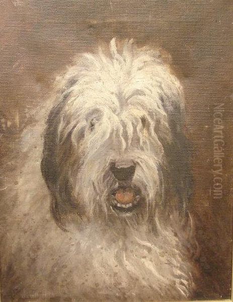 Portrait Of An Old English Sheepdog Oil Painting by Giovanni Francesco Caroto