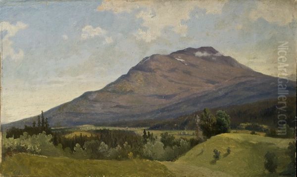 Summer Landscape with Mountain Oil Painting by Gustaf Wilhelm Palm