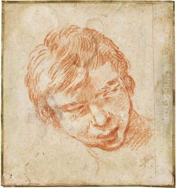 Testa Di Un Ragazzo by Annibale Carracci