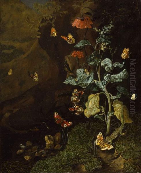 Still life with flowers, butterflies and a lizard in a dell Oil Painting by Rachel Ruysch