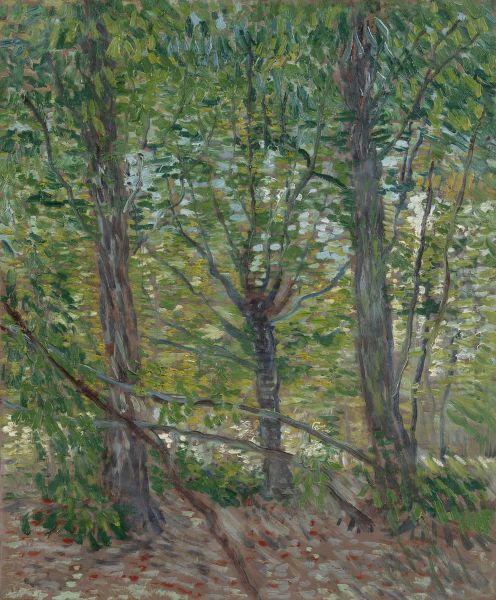 Bomen Oil Painting by Vincent Van Gogh