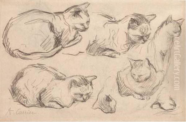 Studies Of Cats (recto And Verso) Oil Painting by Auguste-Joseph Carrier