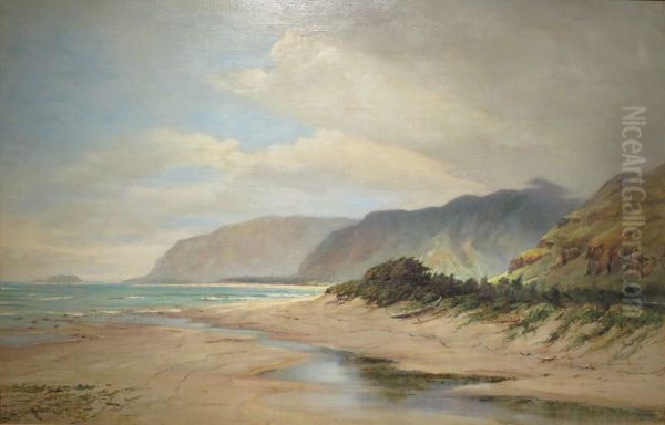 Punalu'u Oil Painting by D. Howard Hitchcock