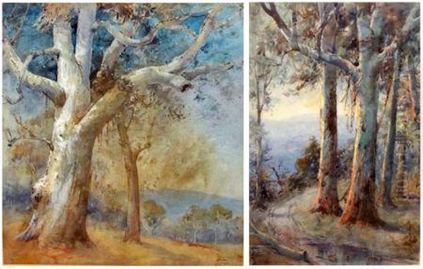 Australian Landscapes With Eucalyptus Trees Oil Painting by Henry Barlow Carter