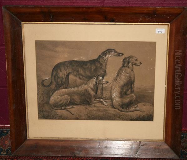 Study Of Deerhounds In Landscape Oil Painting by Samuel John Carter