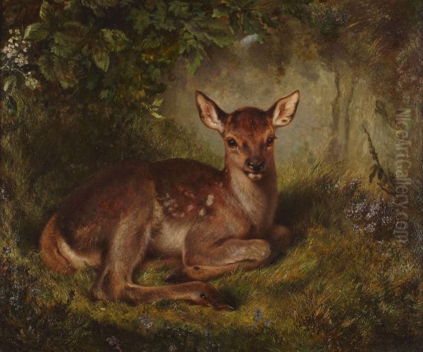 Fawn In A Clearing Oil Painting by Samuel John Carter